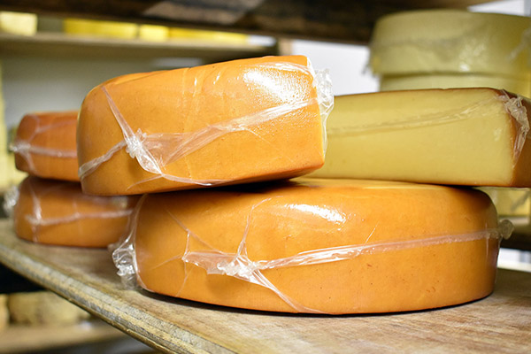 cheese factory tour lancashire